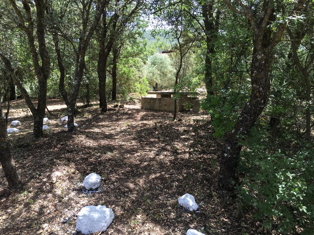 Casas Rurales La Loma Del Carrascal Hornos Εξωτερικό φωτογραφία