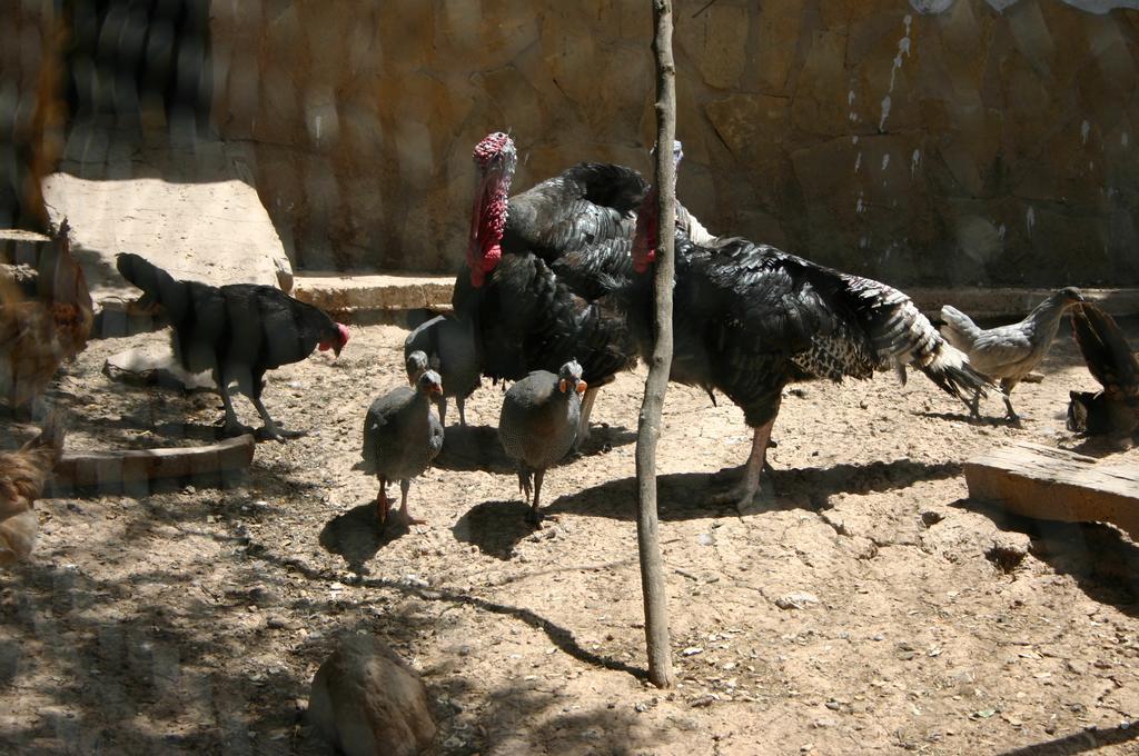 Casas Rurales La Loma Del Carrascal Hornos Εξωτερικό φωτογραφία