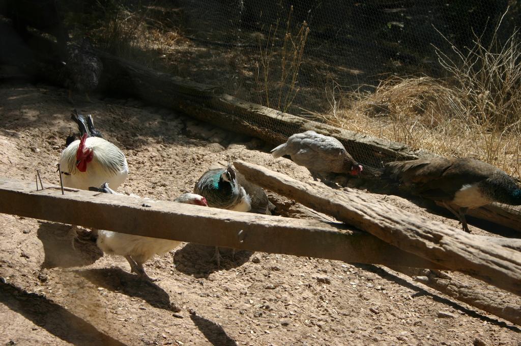 Casas Rurales La Loma Del Carrascal Hornos Εξωτερικό φωτογραφία