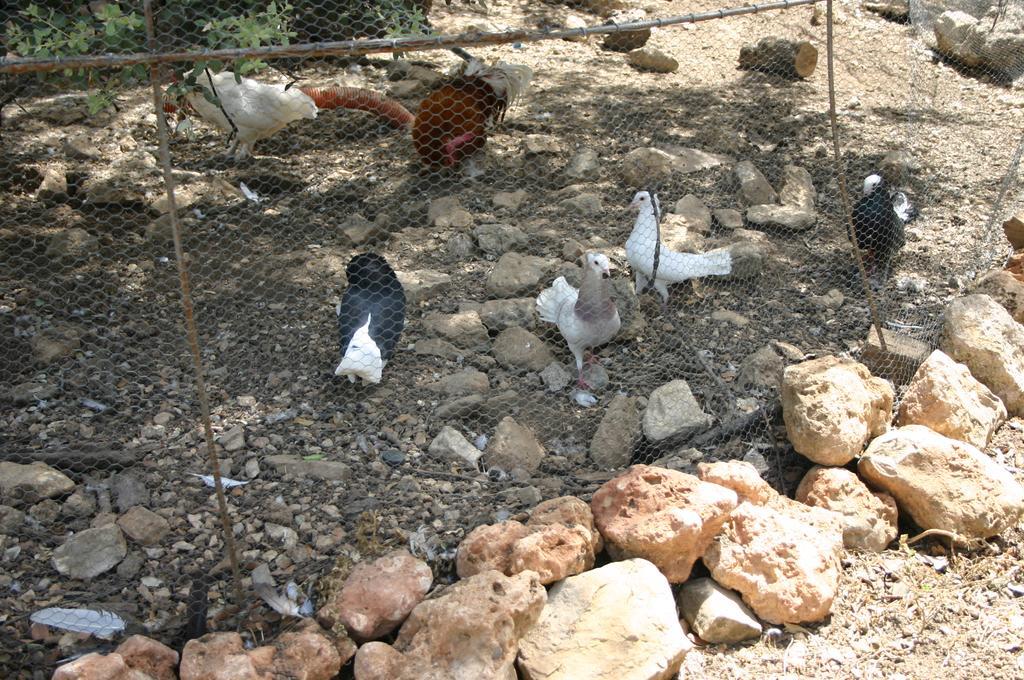 Casas Rurales La Loma Del Carrascal Hornos Εξωτερικό φωτογραφία