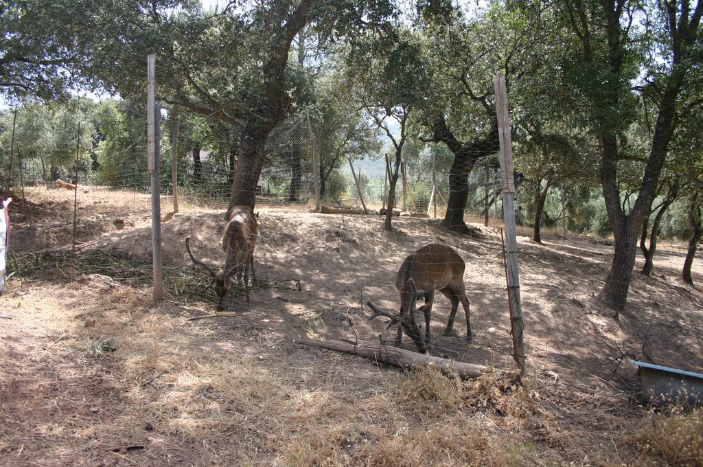 Casas Rurales La Loma Del Carrascal Hornos Εξωτερικό φωτογραφία