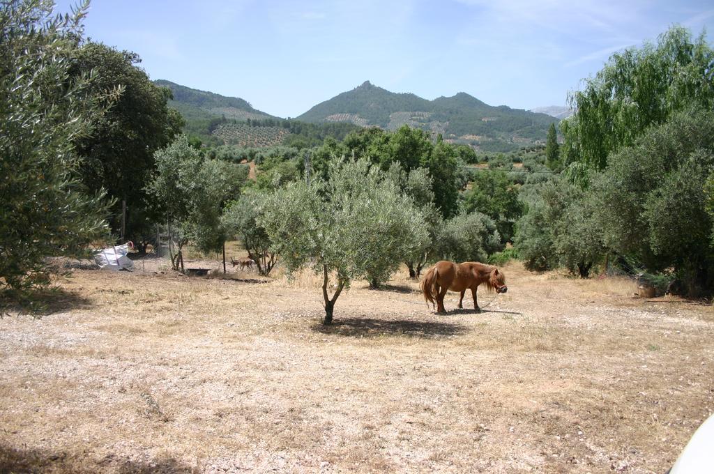 Casas Rurales La Loma Del Carrascal Hornos Εξωτερικό φωτογραφία