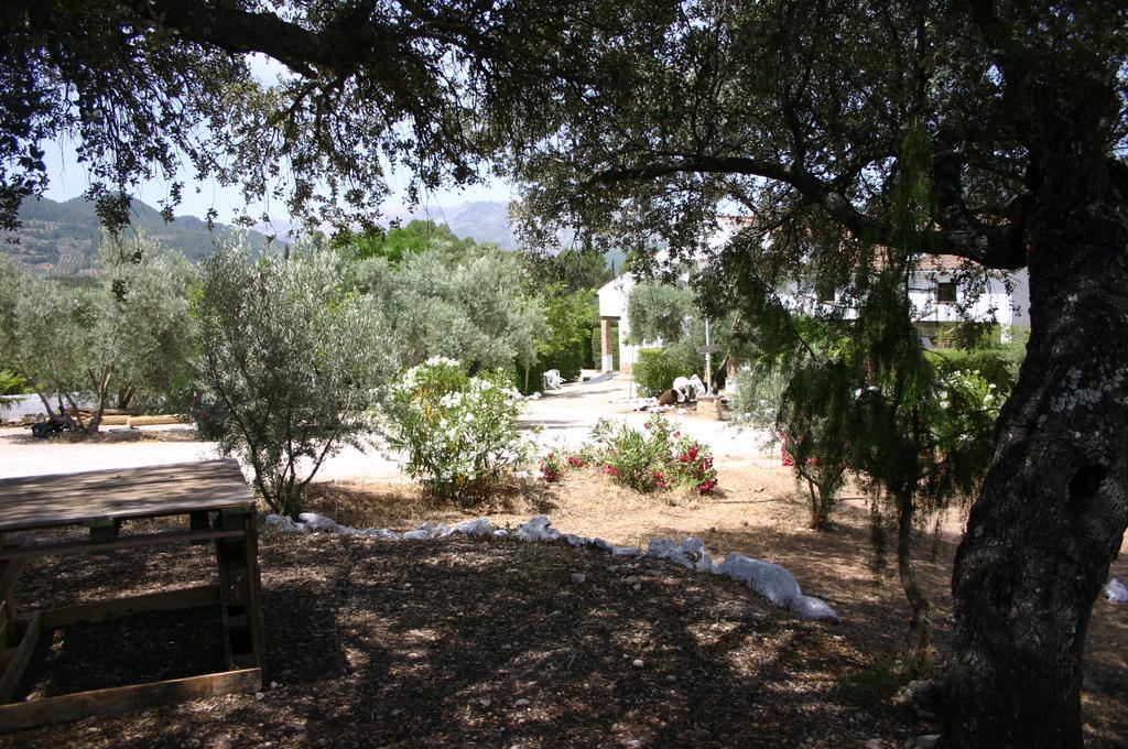 Casas Rurales La Loma Del Carrascal Hornos Εξωτερικό φωτογραφία