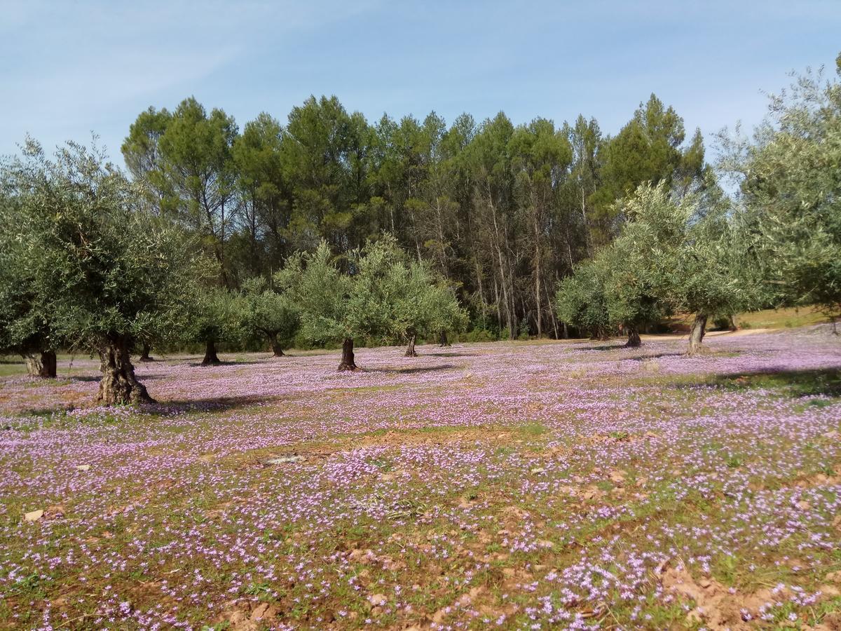 Casas Rurales La Loma Del Carrascal Hornos Εξωτερικό φωτογραφία