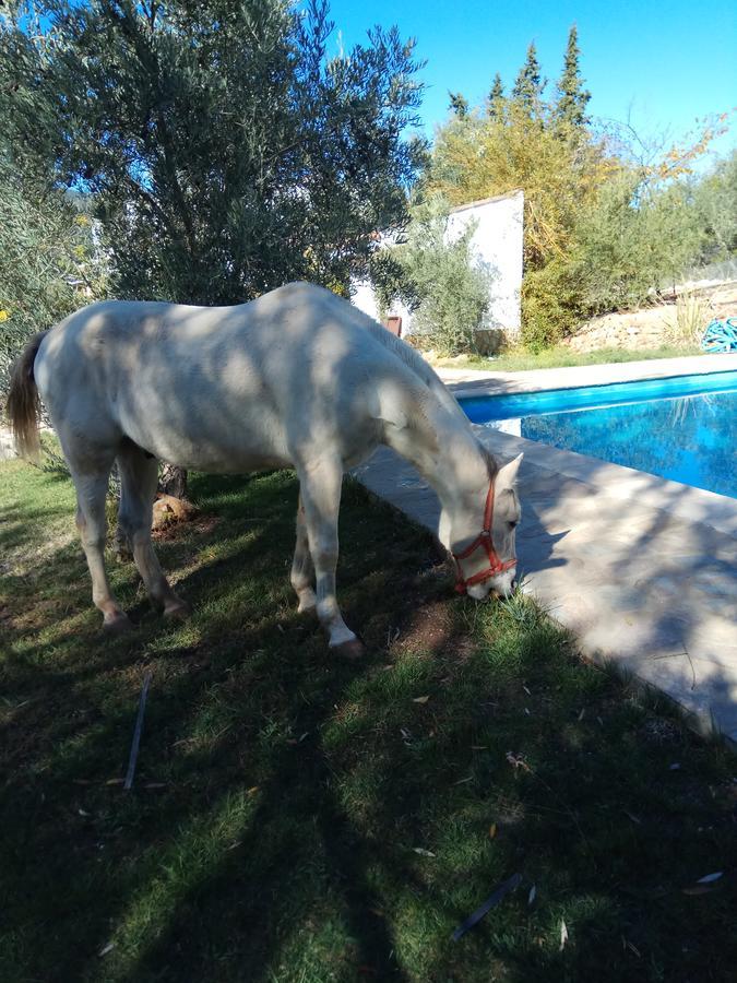 Casas Rurales La Loma Del Carrascal Hornos Εξωτερικό φωτογραφία